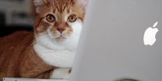 engineer_cat's profile banner image