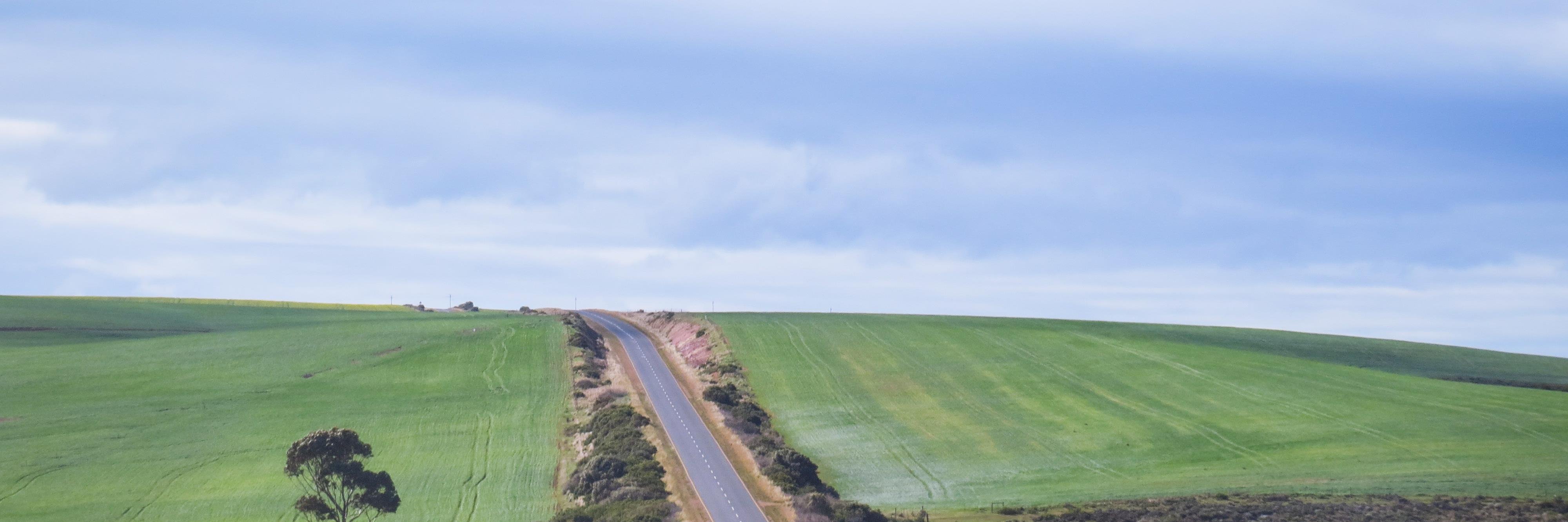 roberta_aspesi's profile banner image