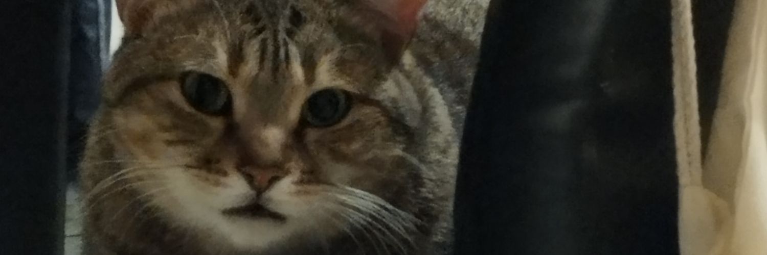 RuizdeGaunaa's profile banner image