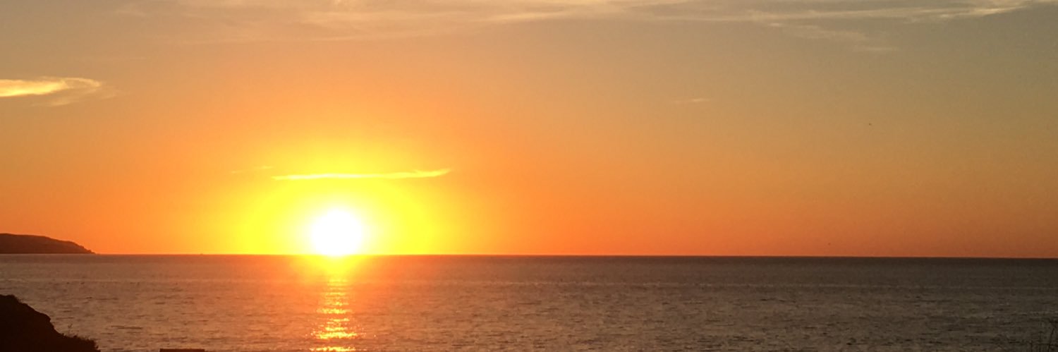 TheRealSJW's profile banner image