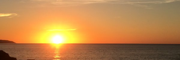 TheRealSJW Profile Banner