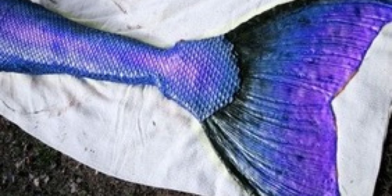 Mermaid_Leigh's profile banner image