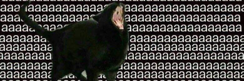 BingusDGoober's profile banner image
