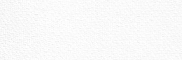 ACMonguilod's profile banner image