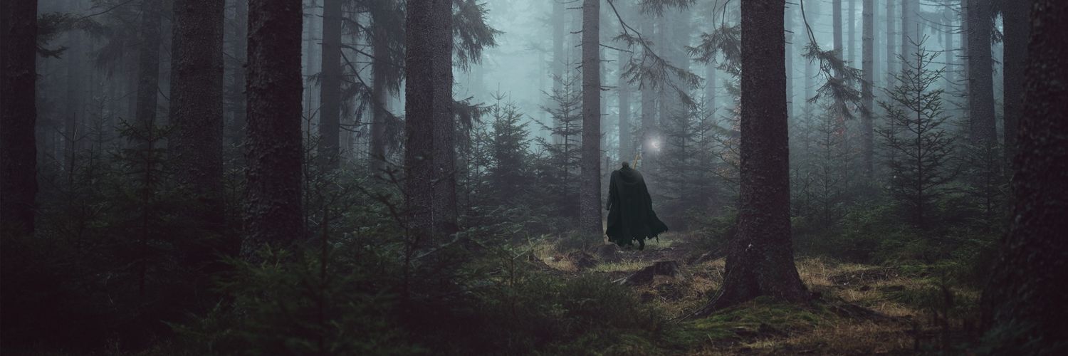 wallisao_'s profile banner image