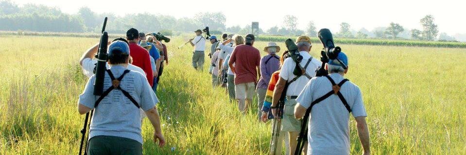 billofthebirds's profile banner image