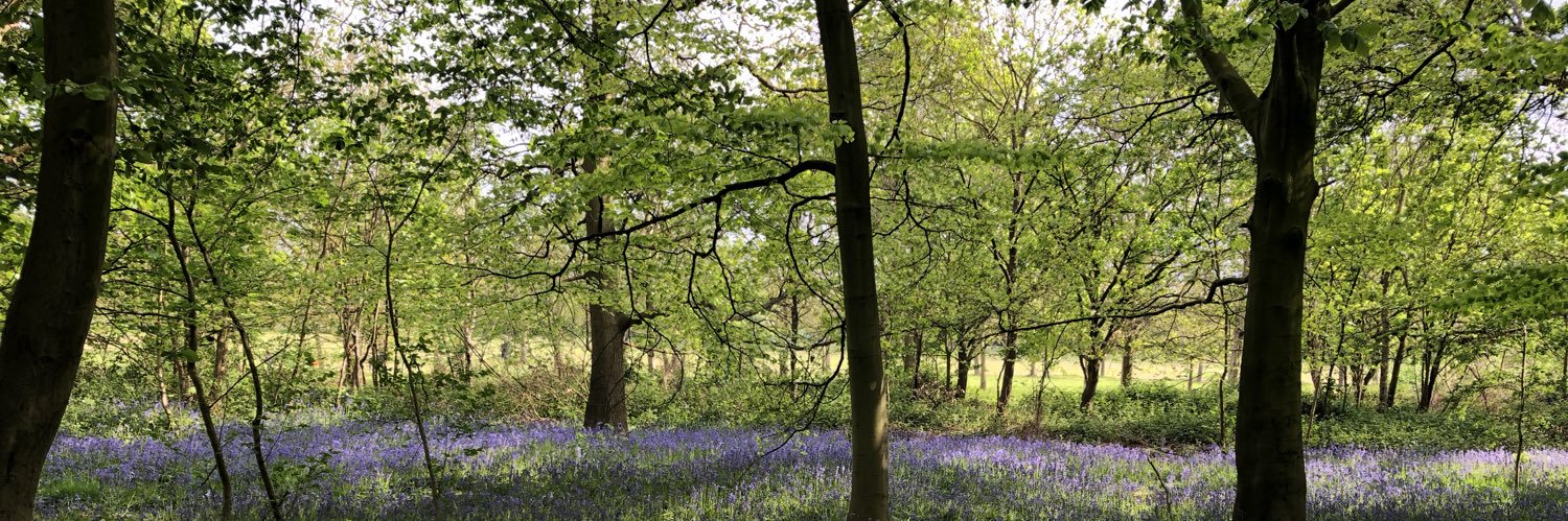 Gemma Stott (Dietitian, BSc, PGDip, MSc) banner