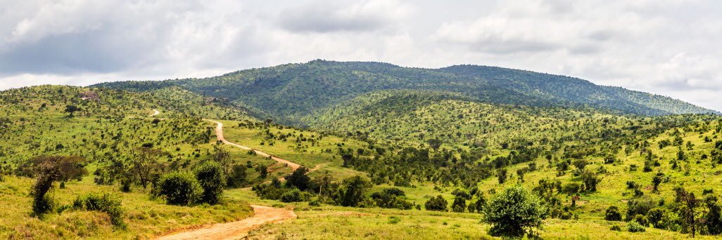 nickbiwott's profile banner image