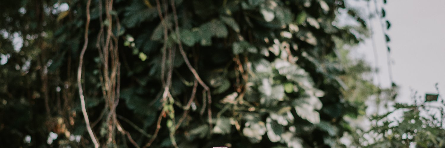 AbaasaR's profile banner image
