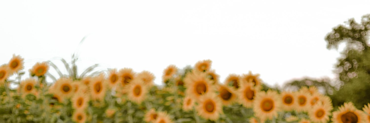 HayleeManning's profile banner image