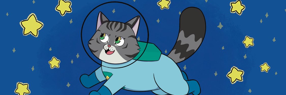 StarryReni's profile banner image