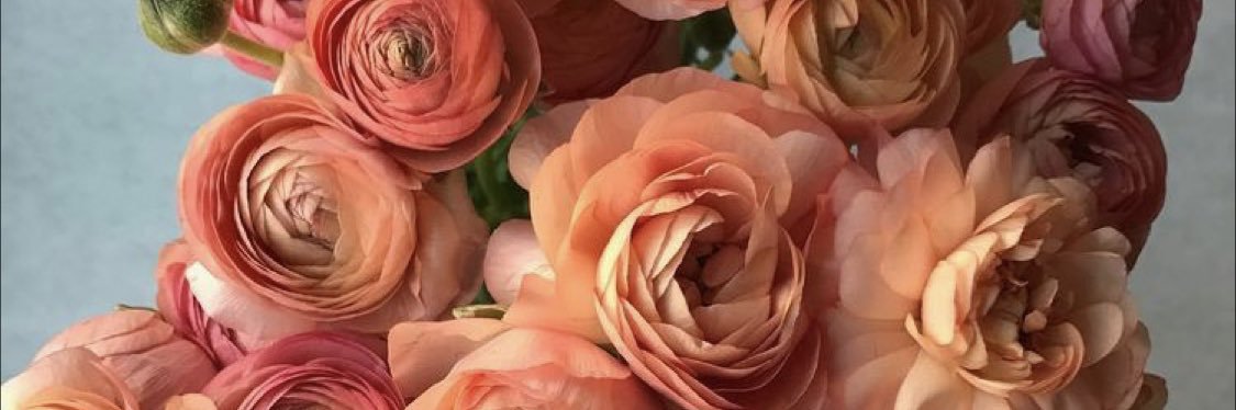 maa_dee1's profile banner image