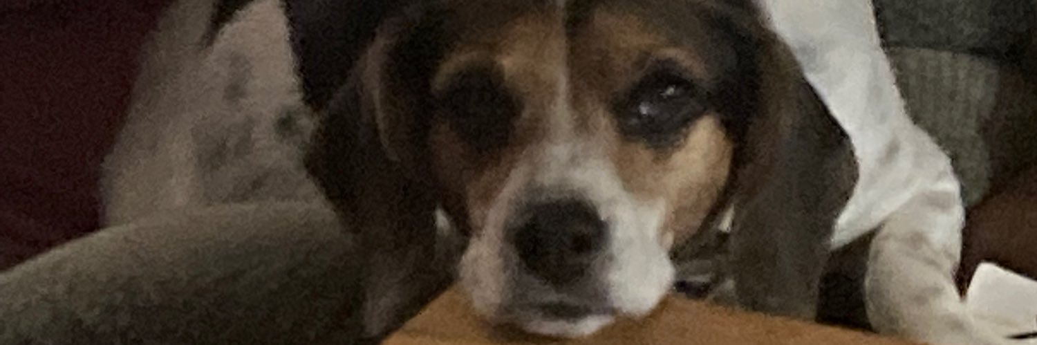 MoermanforJesus's profile banner image