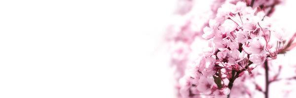 tadano7's profile banner image