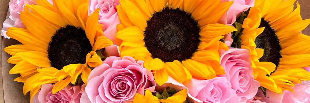 jennnfloress's profile banner image