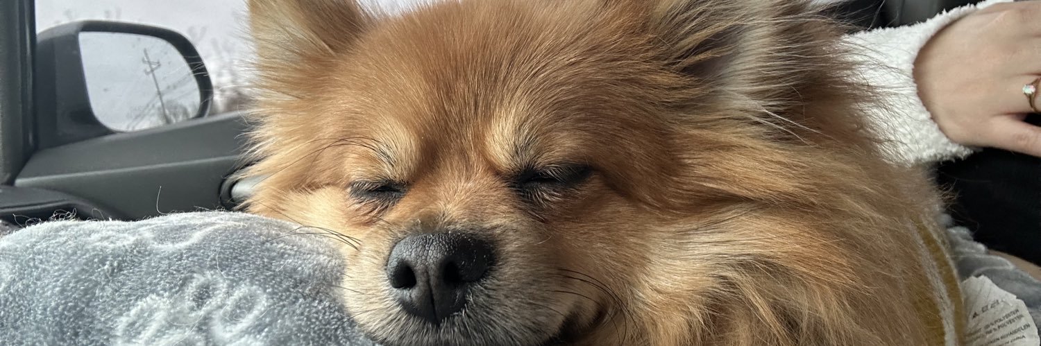 estaysi_'s profile banner image