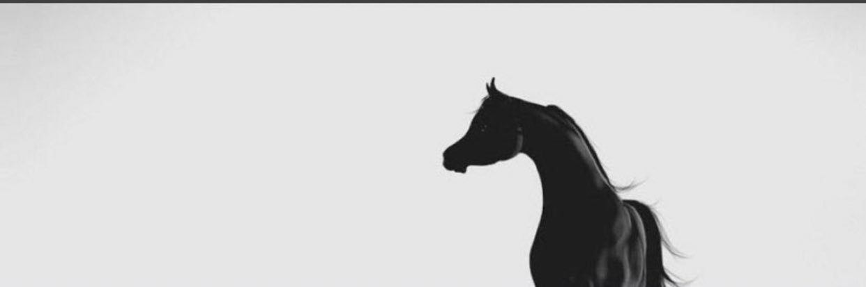rove321v's profile banner image