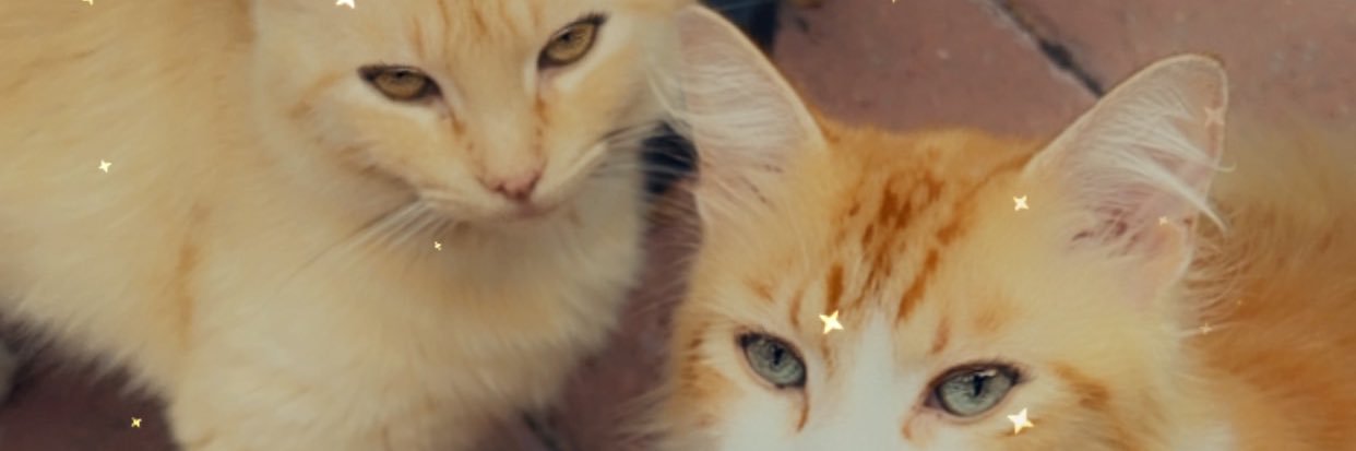 SamCade90's profile banner image
