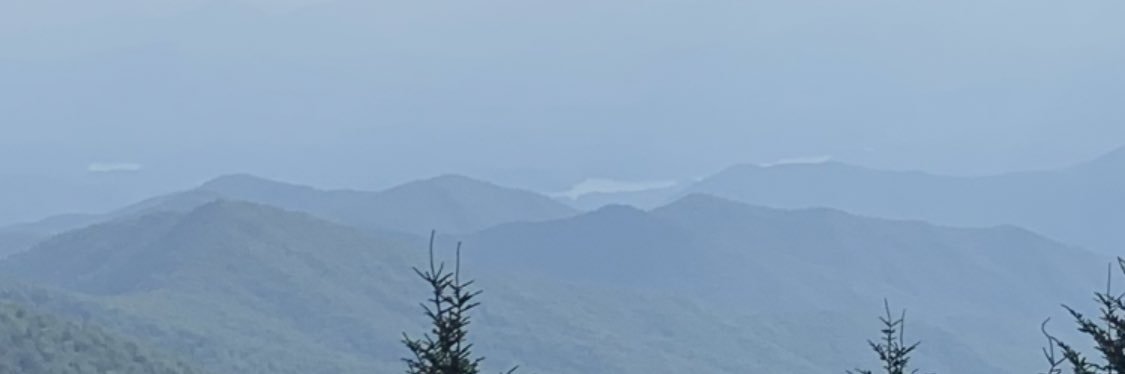 sharkmccormick's profile banner image