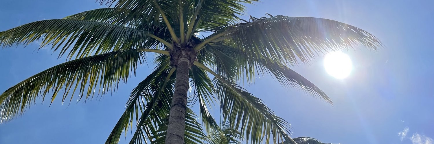 Zabin Patel-Syed banner