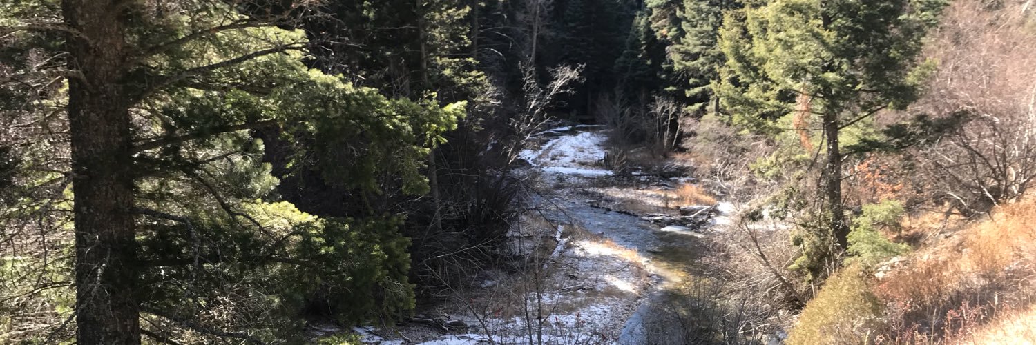 theelliotte's profile banner image