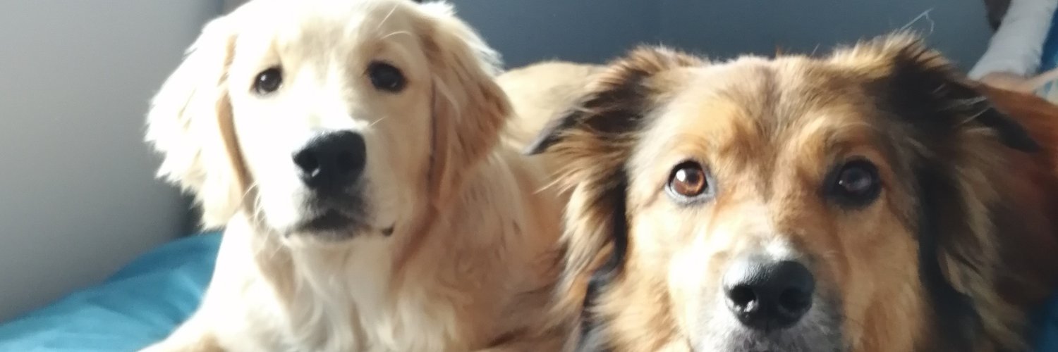 deano12785's profile banner image