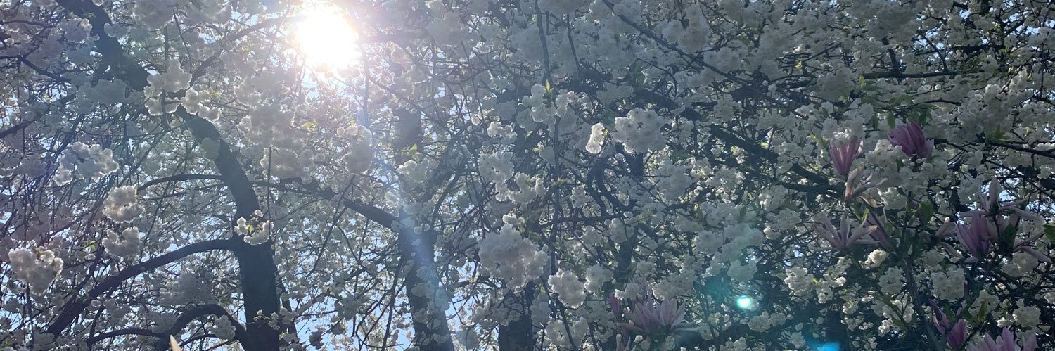 Will Goose 🦡🦡🦡 banner