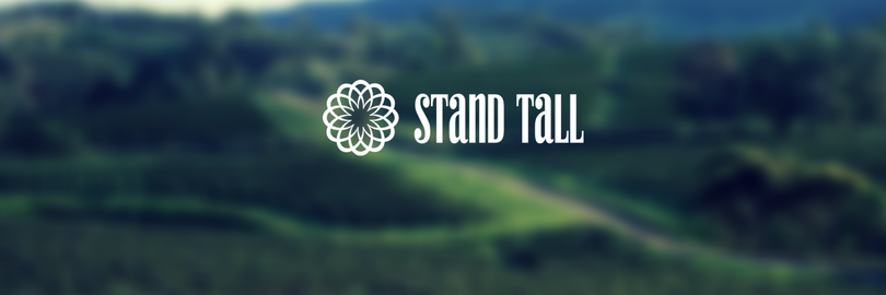STANDTALL_LLC's profile banner image