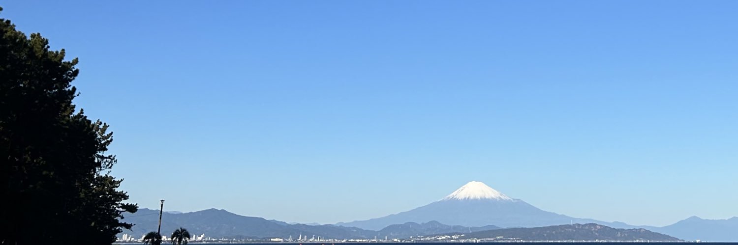 pikumin_usg's profile banner image