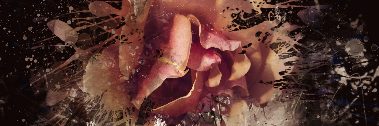 slxyru's profile banner image