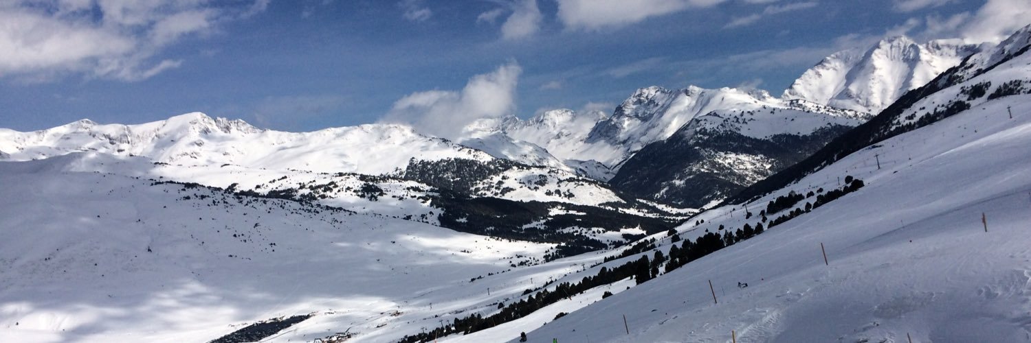 Patrick Torrent banner