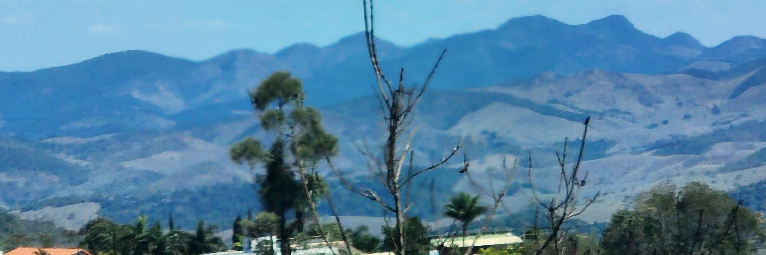 Magnum44's profile banner image