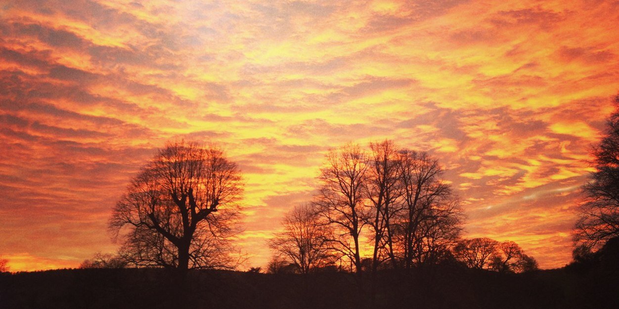 hannahreaney's profile banner image