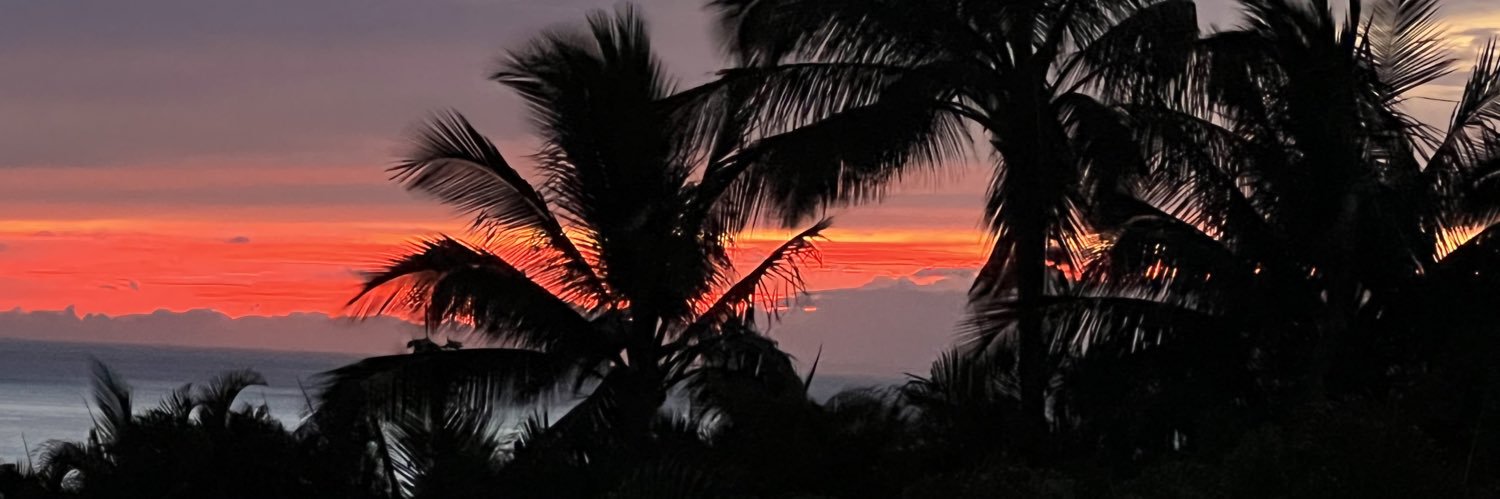 hermanolivera's profile banner image