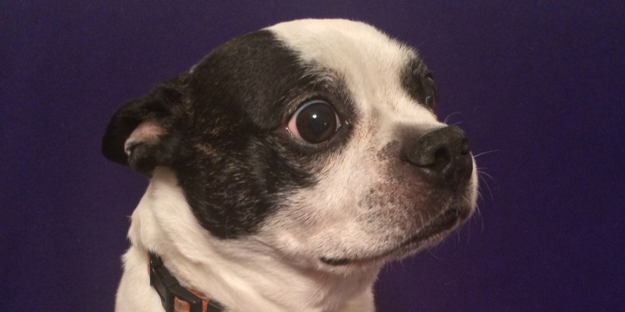 OldGradsDad's profile banner image