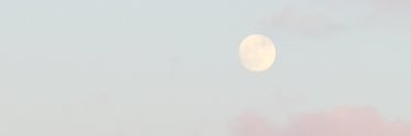 maddypyle7's profile banner image
