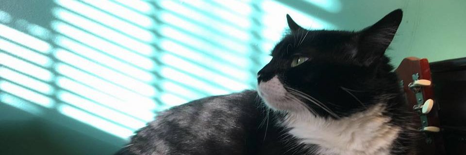 Sora_Haven's profile banner image