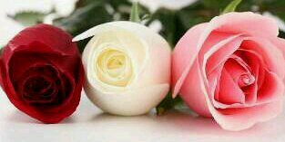 Diah_widiasari's profile banner image