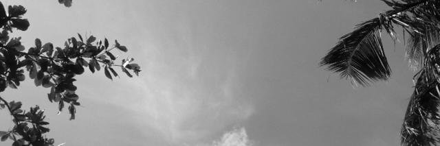 Stéphanie Cabre banner