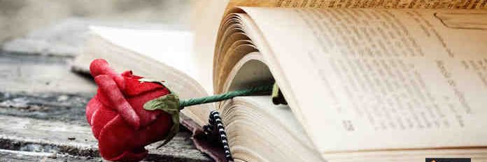 t_30_up's profile banner image