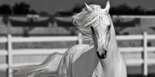 bariranazir's profile banner image
