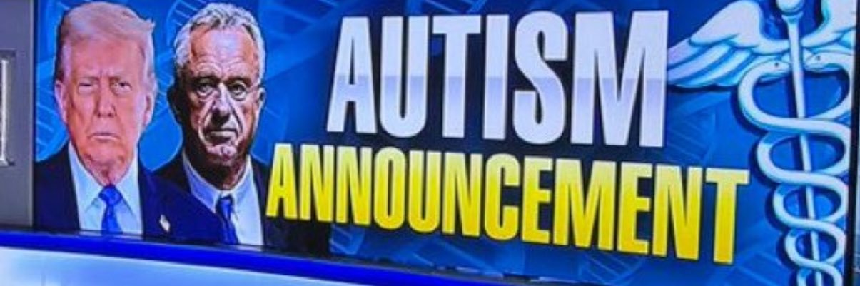 Wall2WahlChaos banner