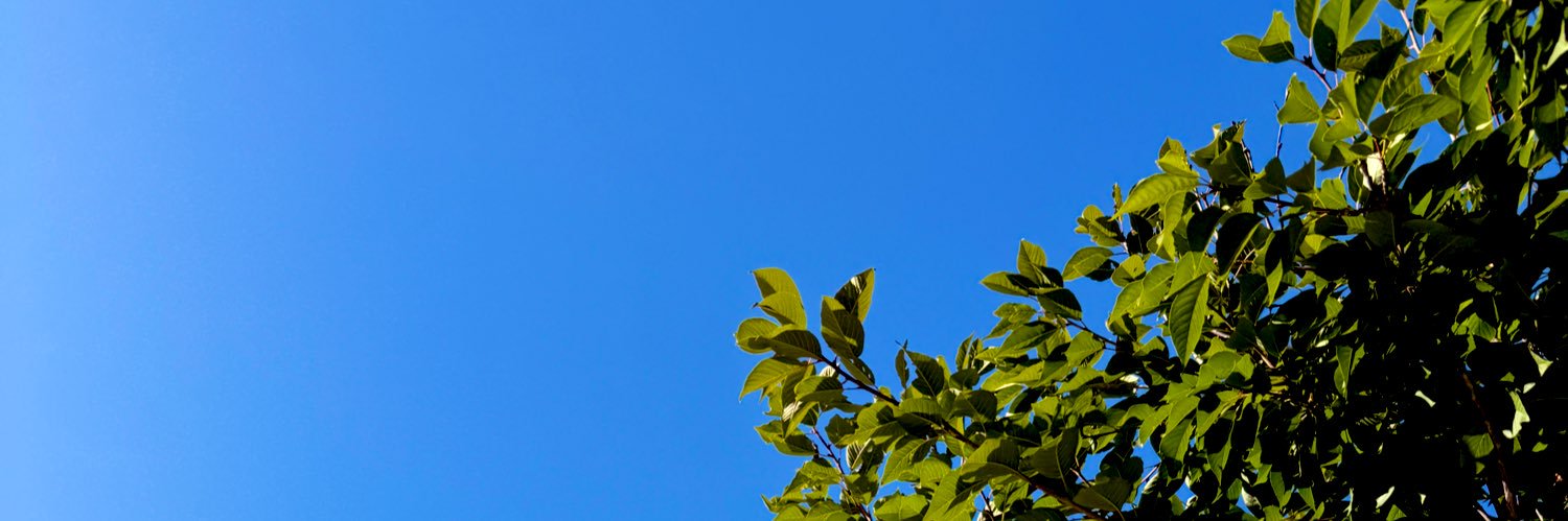 туleг w ѕupeгno̸г ☡ banner