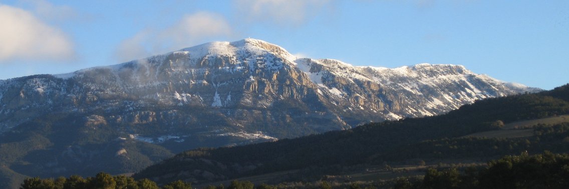Jordi Soldevila banner