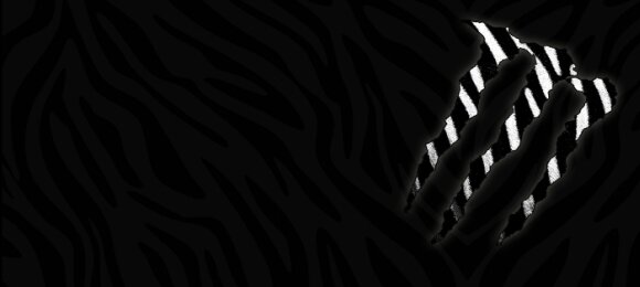 Геннадий Воронин banner