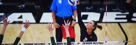 Stephanie Shadley banner