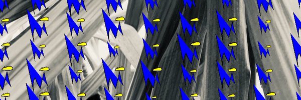 freddymota_ Profile Banner