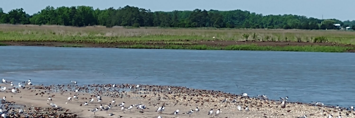 Richard du Feu banner