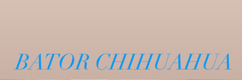 BATOR CUU banner
