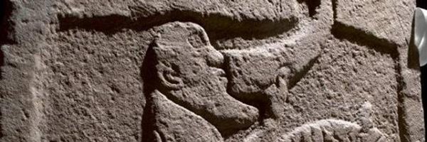 MalkyDungeon Profile Banner